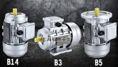 立式三相異步電動機是什么樣的_上海生產(chǎn)廠家（馭典重工）